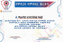 INSA_1
